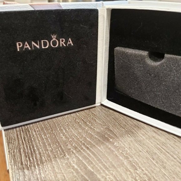 BRAND NEW SMALL PANDORA CHARM BOX HOLDER WILL HOLD AT LEAST 8 CHARMS - Picture 9 of 10